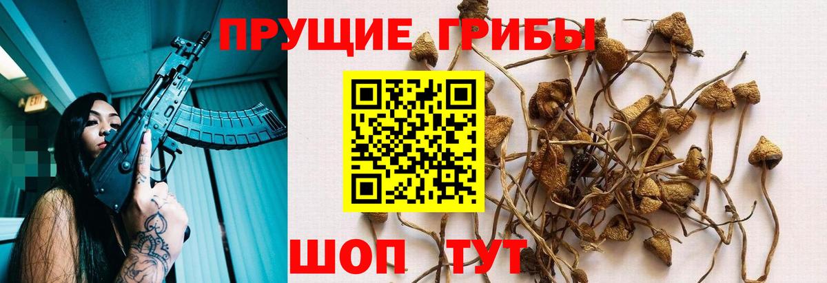 Галлюциногенные грибы прущие грибы  Вход с VPN  Костомукша 